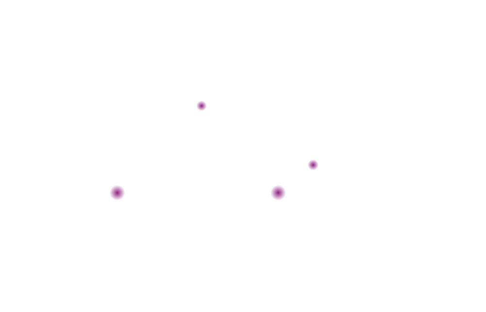 Spiegelcollectief